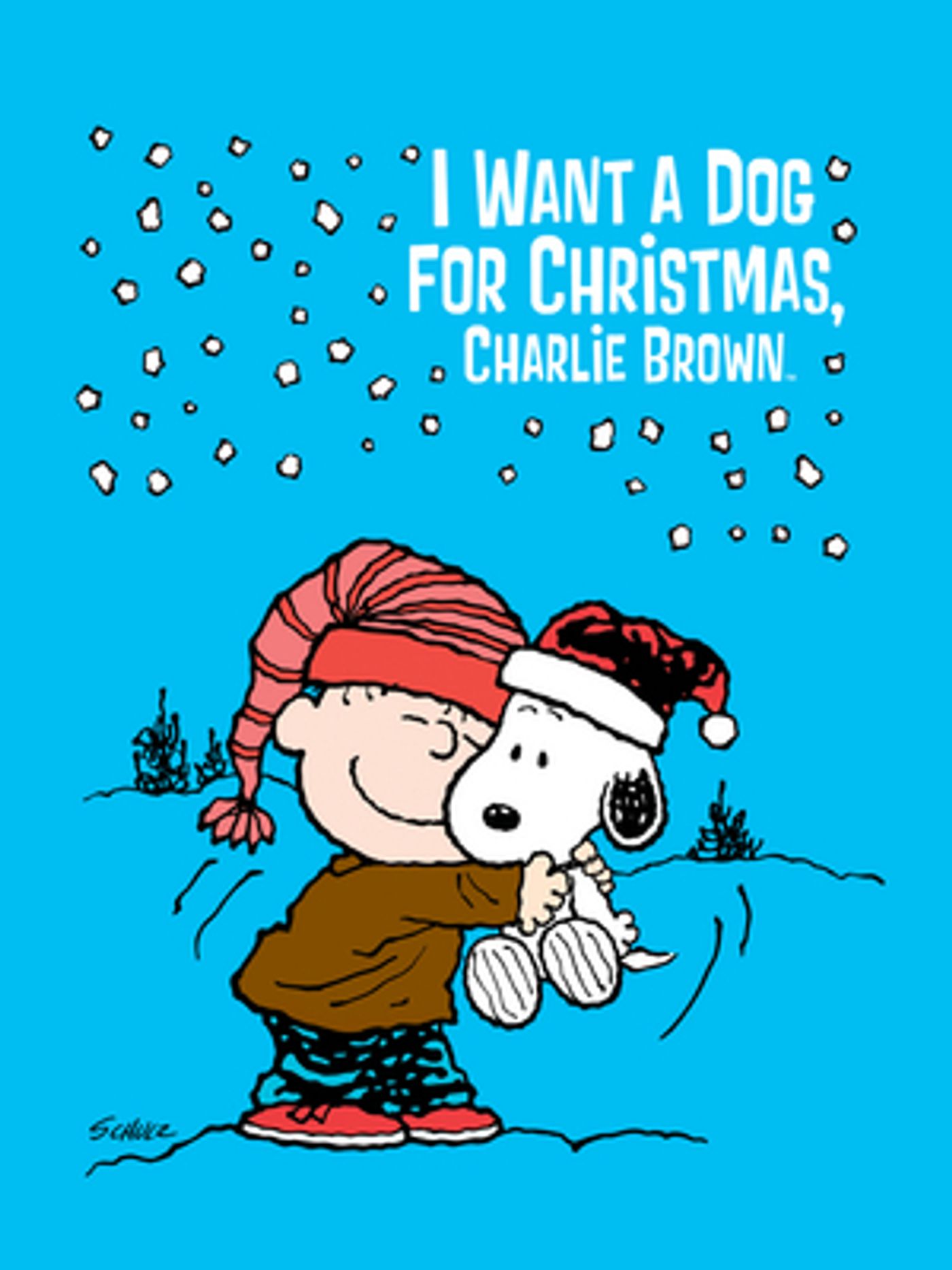 ABC to Air I WANT A DOG FOR CHRISTMAS, CHARLIE BROWN on December 22  Image
