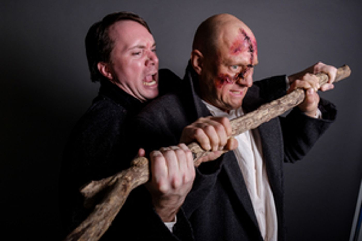 Review: MARY SHELLEY'S FRANKENSTEIN at DIFFERENT STAGES  Image