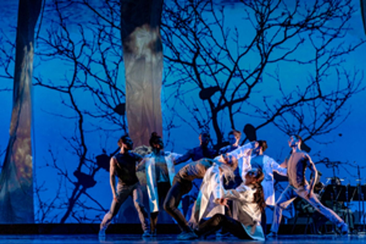 Interview: Nimbus Dance Works Brings Equity Home  Image