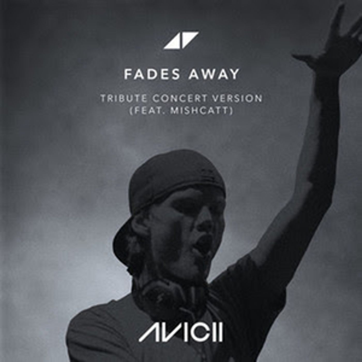 Avicii's 'Fades Away' Special Concert Version Featuring Mishcatt is Available Now  Image