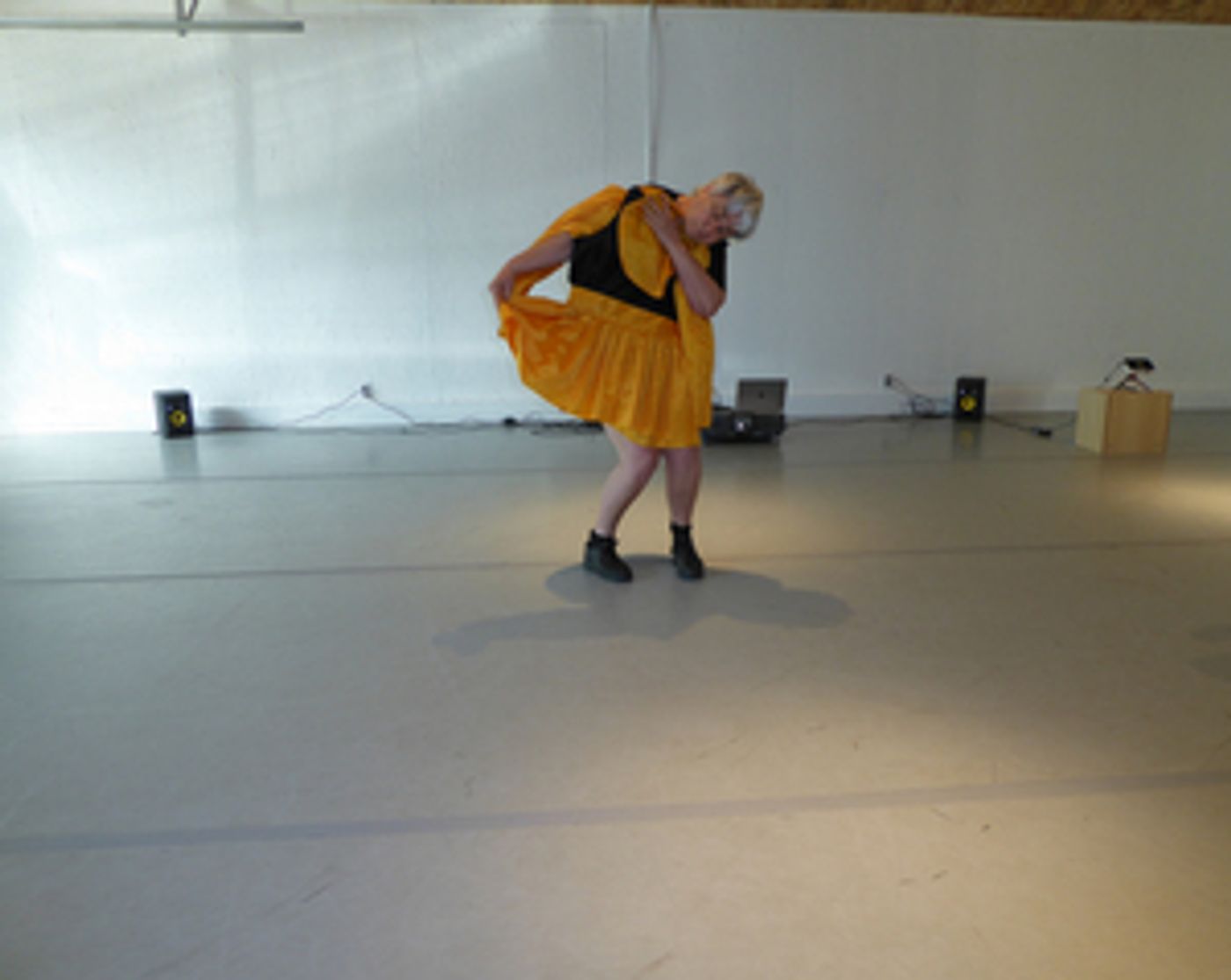 Performance Artist and Choreographer Karen Bernard Will Present Her New Interdisciplinary Work LAKESIDE Performance Artist and Choreographer Karen Bernard Will Present Her New Interdisciplinary Work LAKESIDE Image