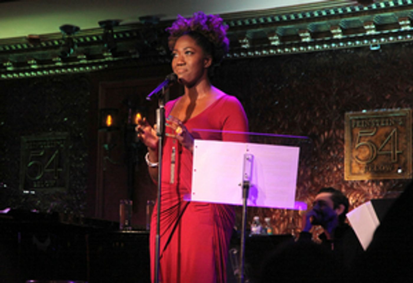 Review: HALF AN EVENING WITH DAVID RASCHE at Feinstein's/54 Below Is A Full Evening's Entertainment  Image