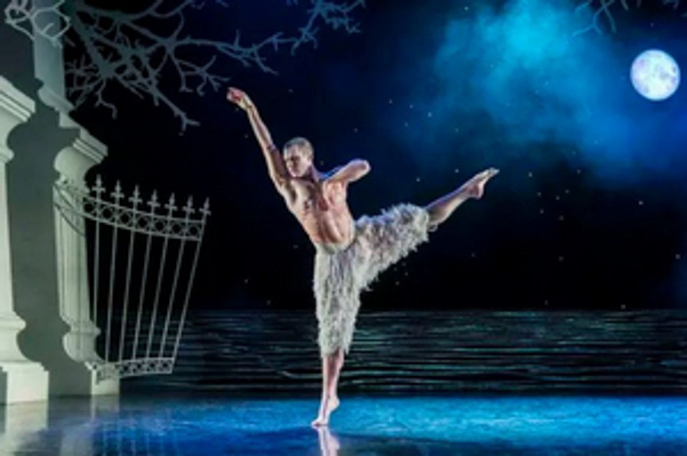 Review Roundup: SWAN LAKE at the Ahmanson - What Did the Critics Think? Review Roundup: SWAN LAKE at the Ahmanson - What Did the Critics Think? Image