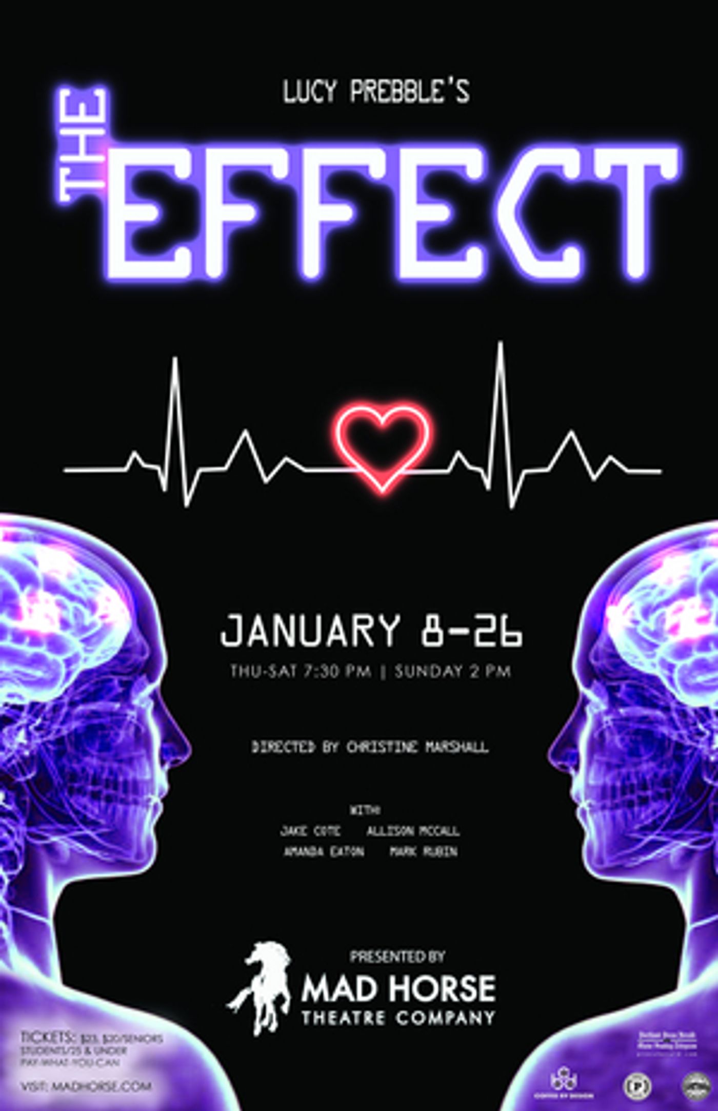 Mad Horse Theatre Company Presents THE EFFECT by Lucy Prebble  Image