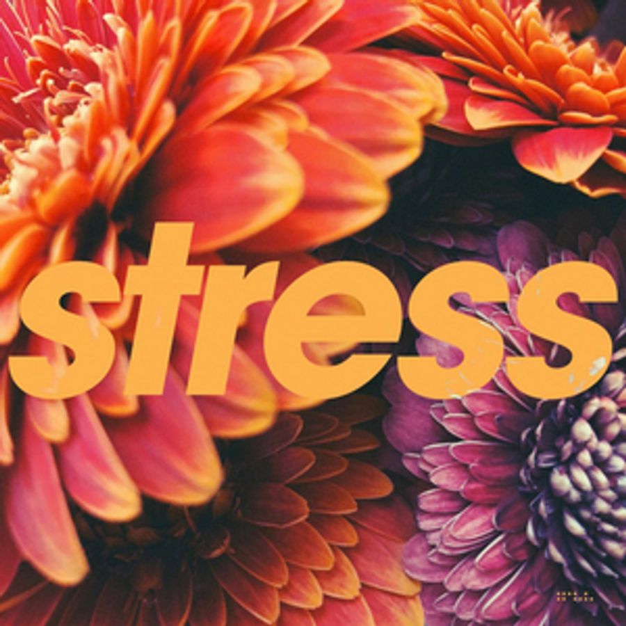 Tycho Releases the STRESS EP  Image