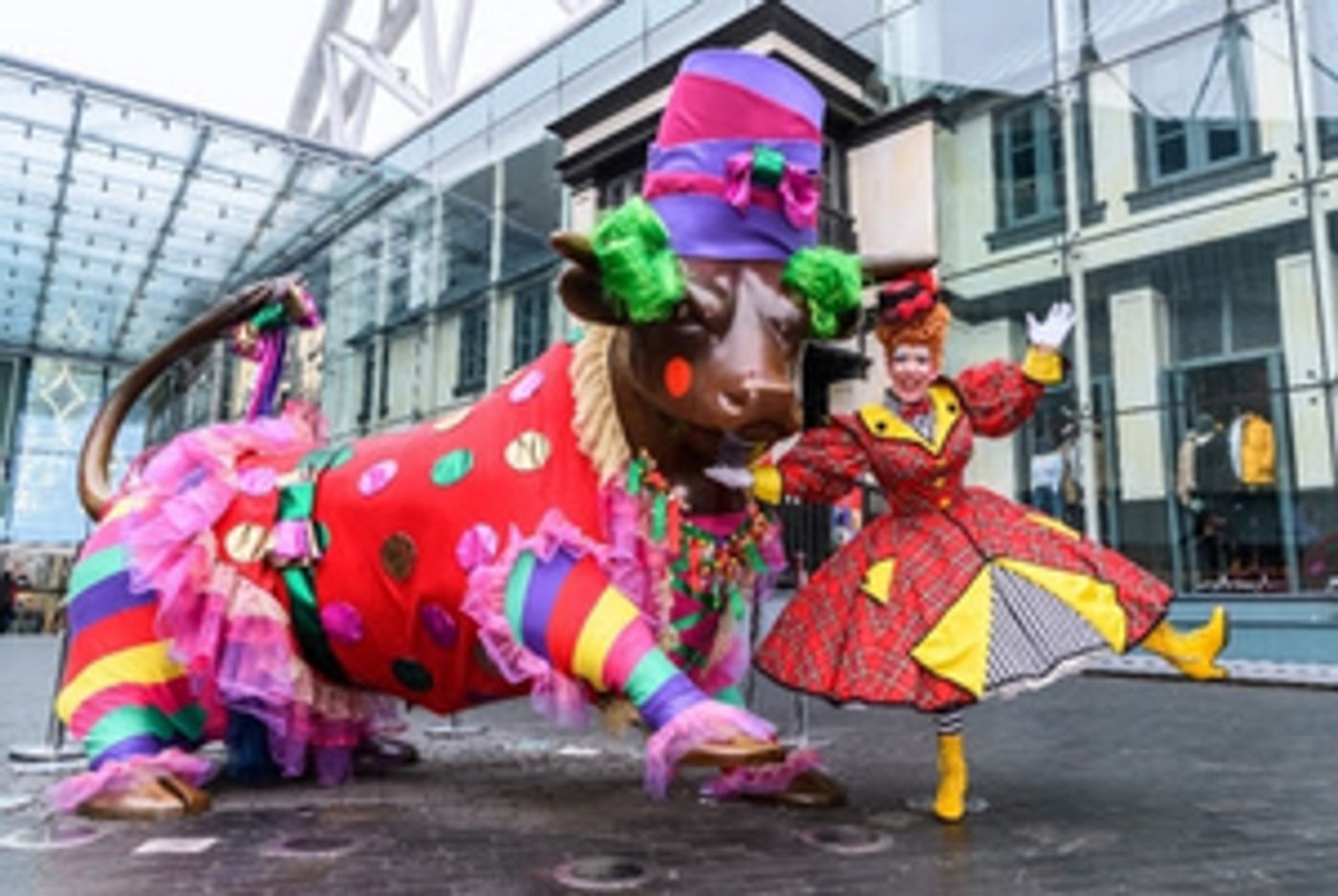 Panto Dame Joins Birmingham Bull In His Glad Rags Panto Dame Joins Birmingham Bull In His Glad Rags Image