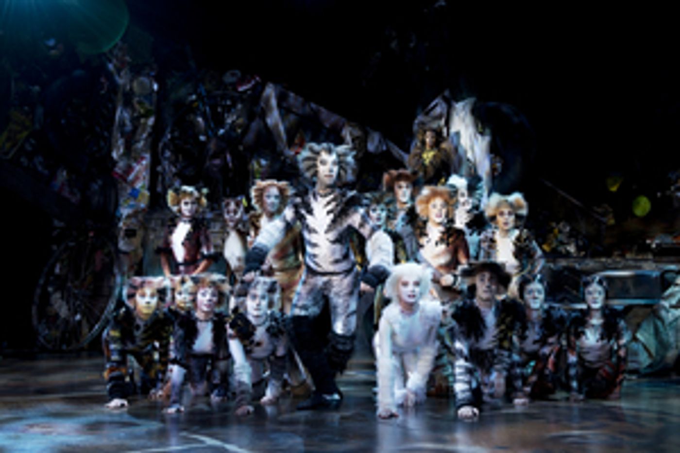 Review: CATS at the Sands Theatre, what a fantastic mewsicle!  Image