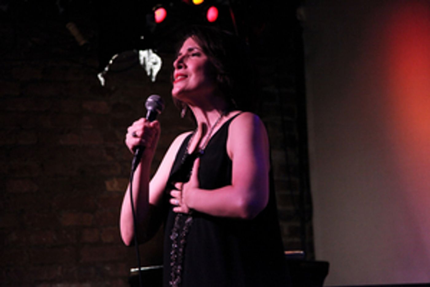 Review: Meg Flather Takes Flight In OUTBOUND PLANE at Don't Tell Mama  Image