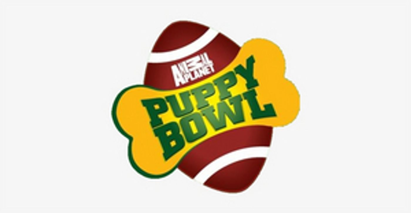 PUPPY BOWL Returns on Sunday, Feb. 2  Image