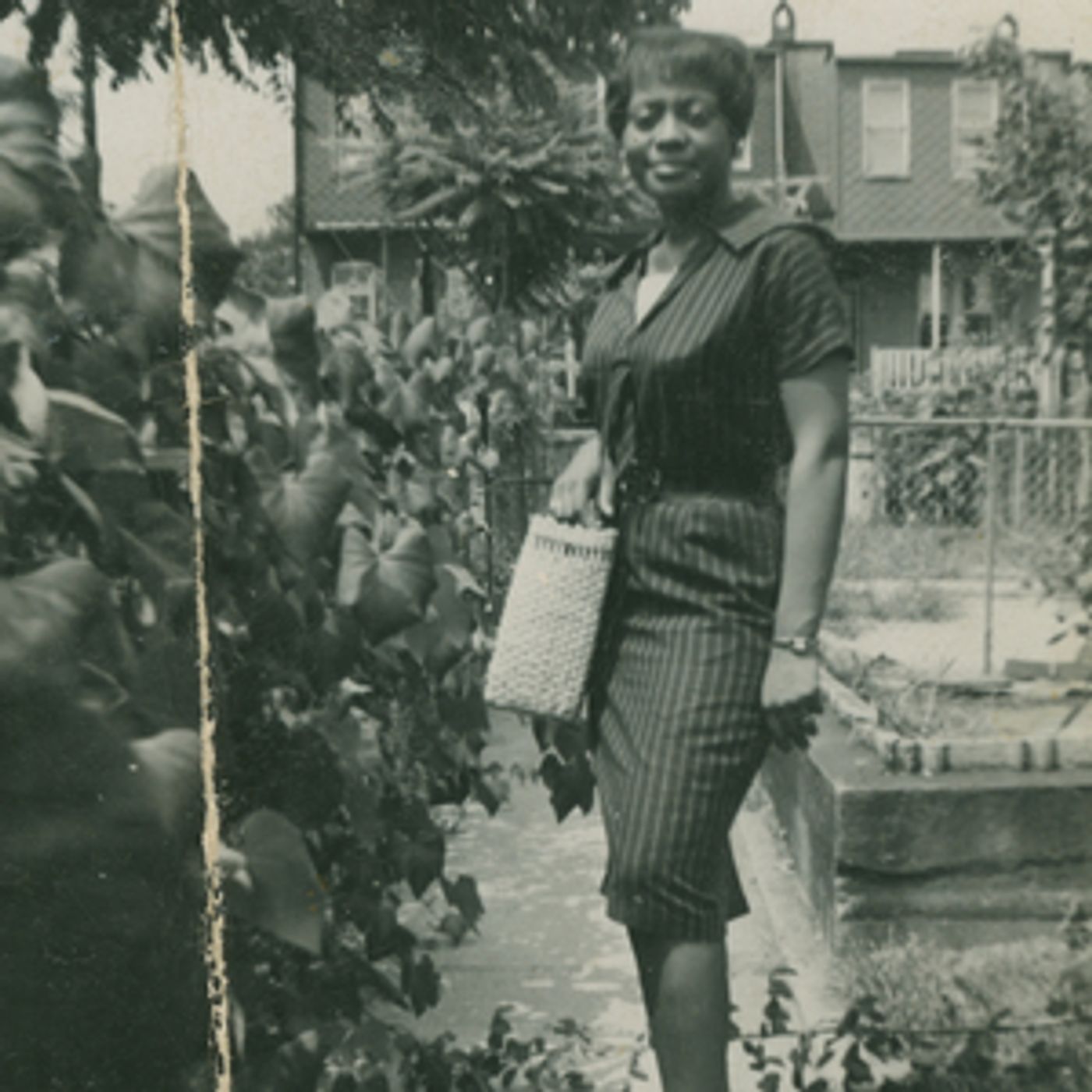 Jeff Parker Announces New LP SUITE FOR MAX BROWN  Image