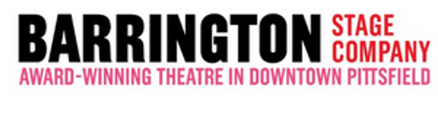 Barrington Stage Has Announced the Plays for the 2020 10X10 NEW PLAY FESTIVAL  Image