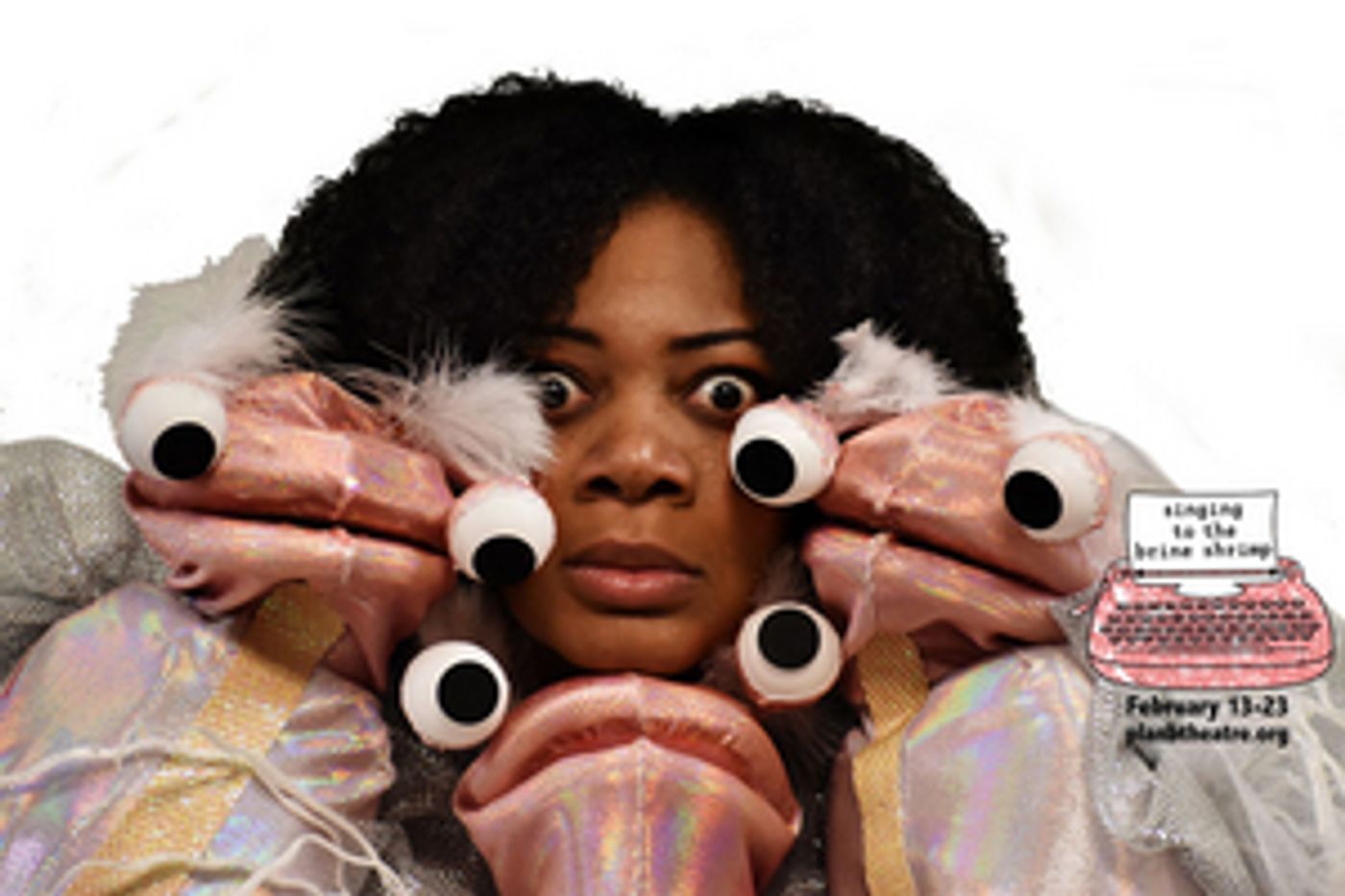 Plan-B Theatre Company's Season Continues with The World Premiere of SINGING TO THE BRINE SHRIMP  Image