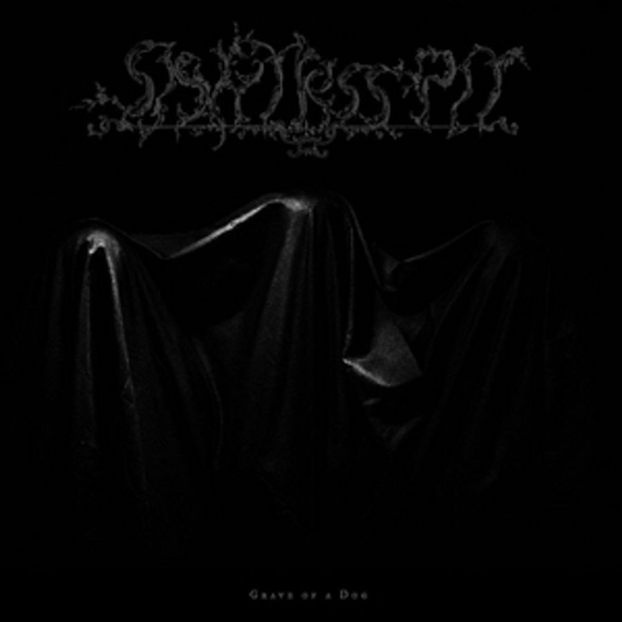 Sightless Pit Announce Debut Album GRAVE OF A DOG Image