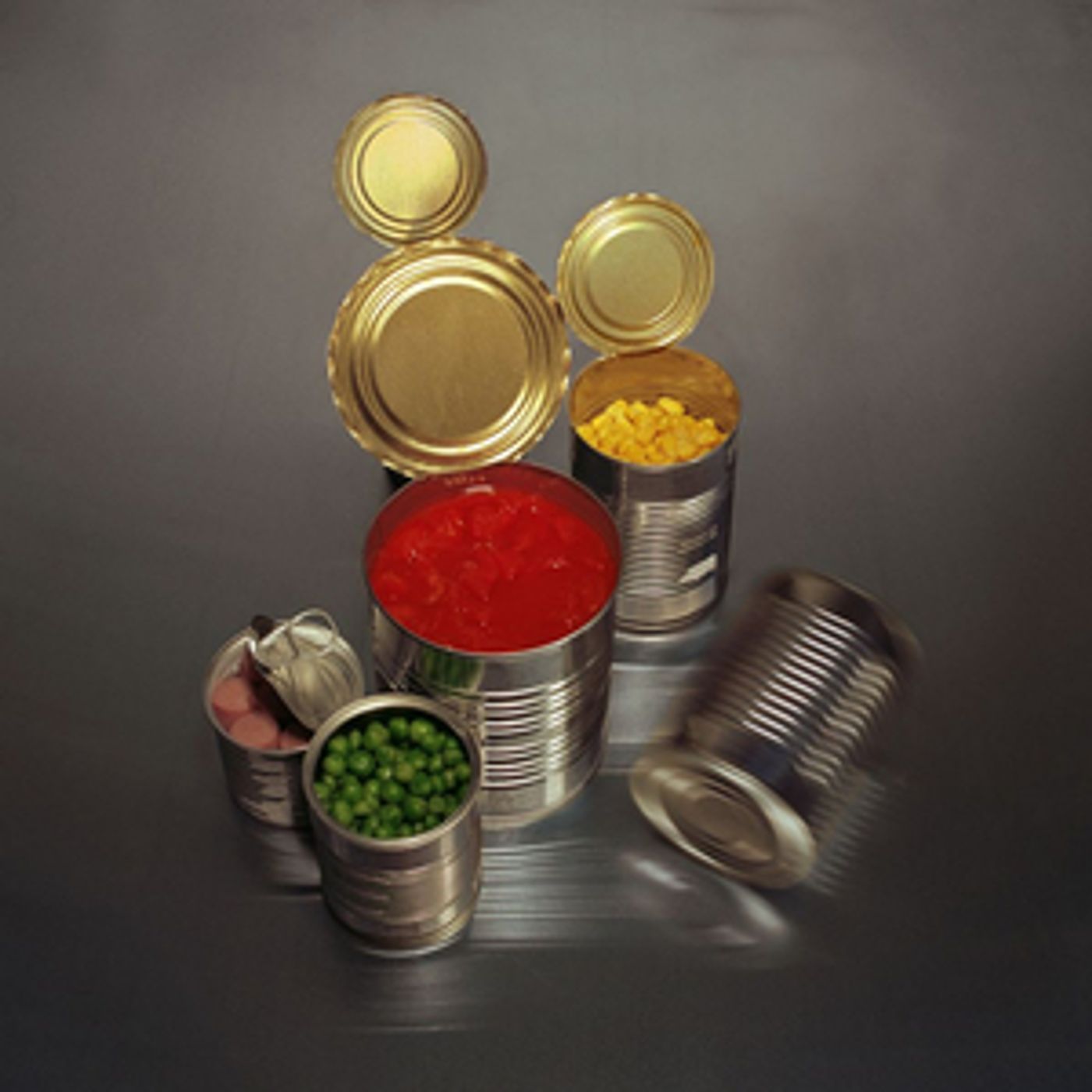 The Wants Announce Debut LP CONTAINER  Image