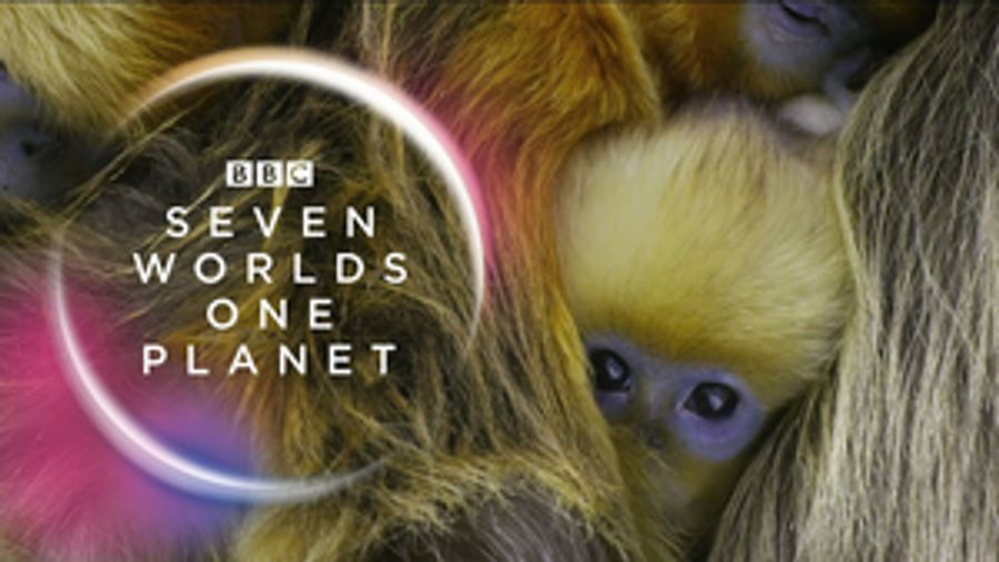 BBC America's SEVEN WORLDS, ONE PLANET to Now Premiere With Australia Episode Image