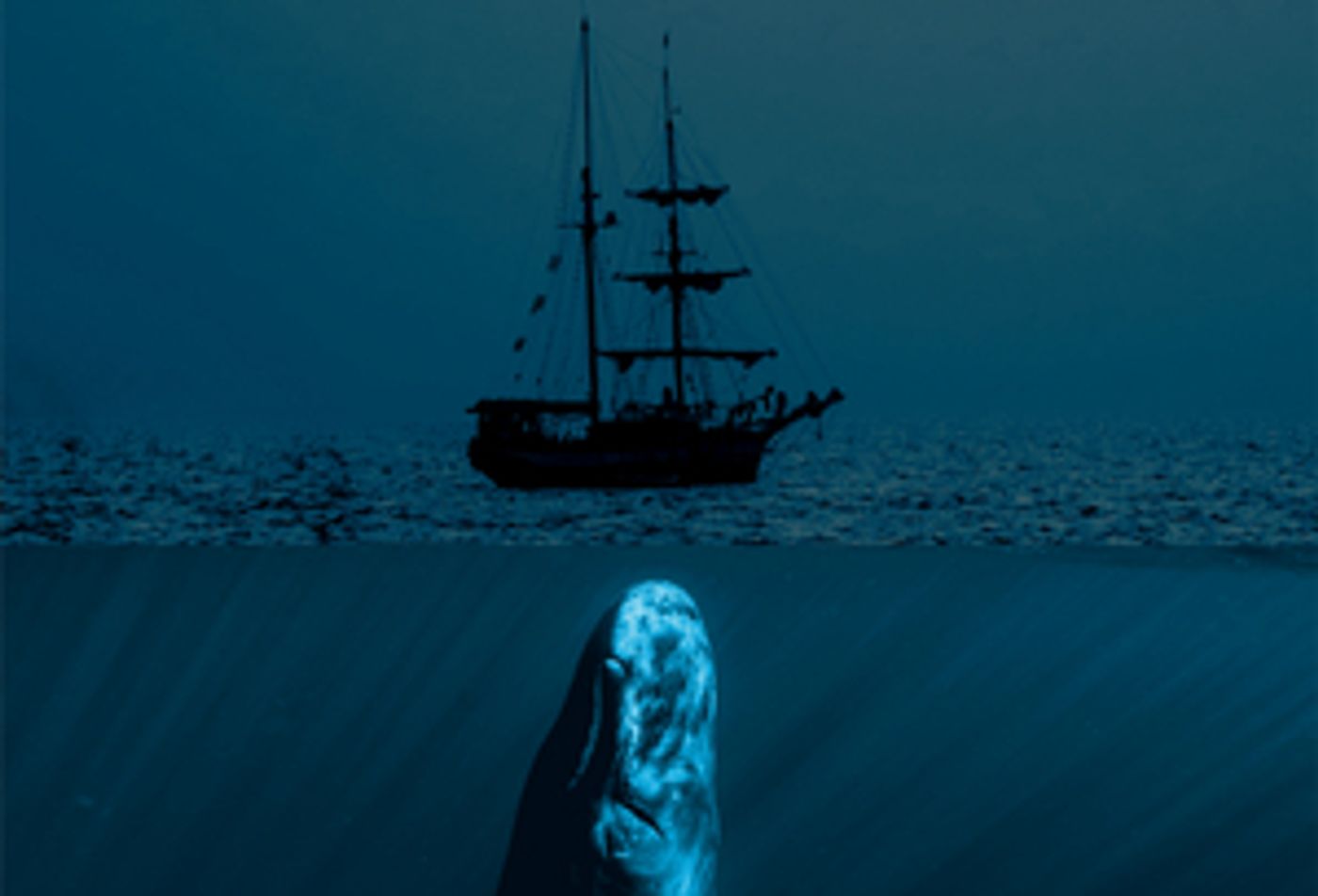 MOBY DICK is Coming to Adelaide Fringe  Image