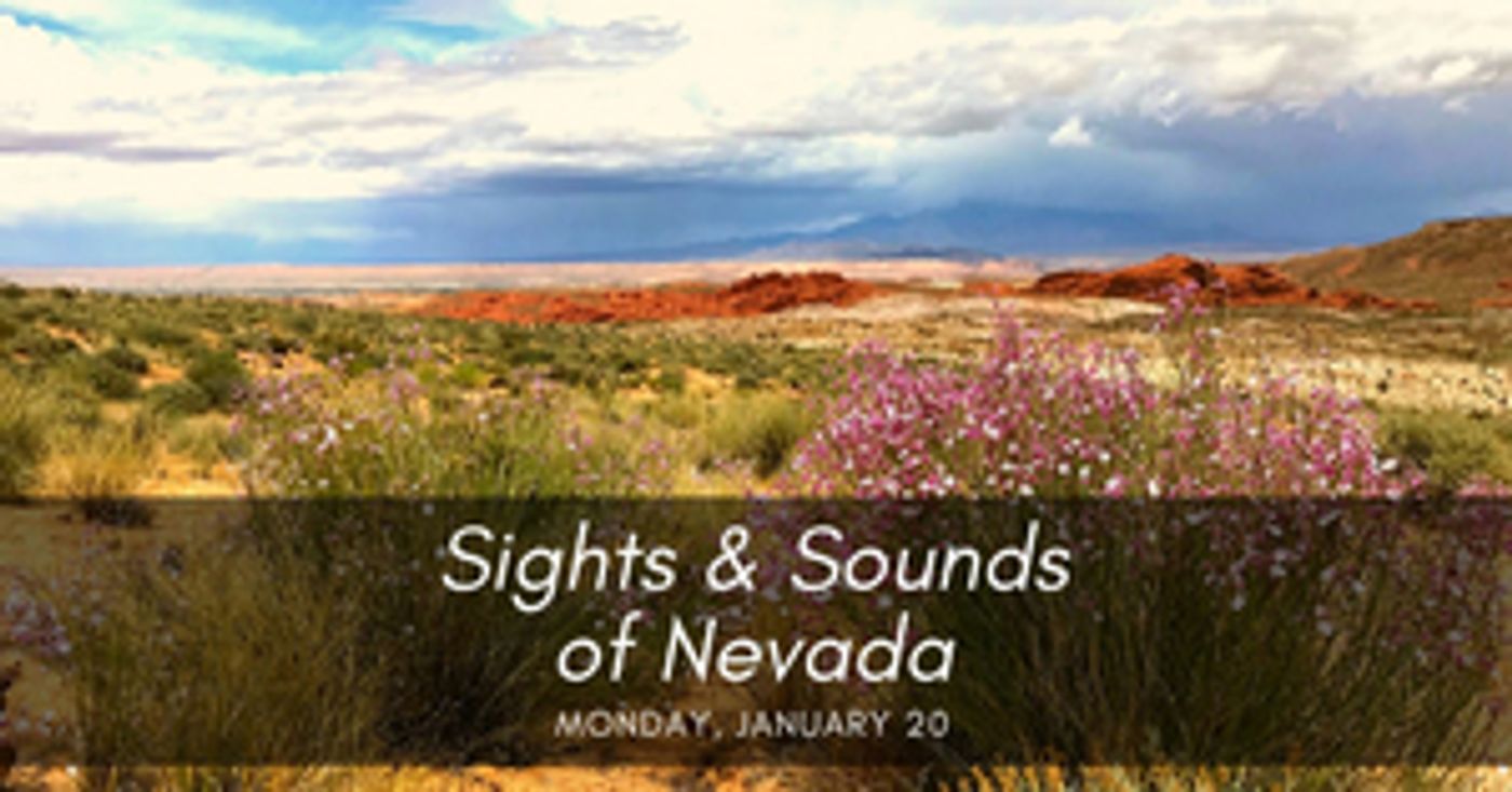 2020 Las Vegas Natural History Museum and Las Vegas Philharmonic Music Van Kick-Off New Collaboration  Image