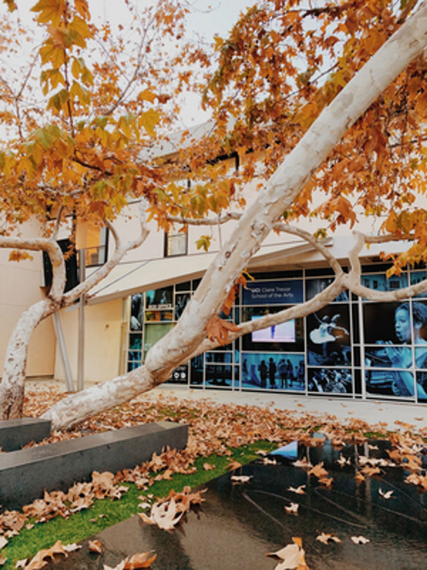 BWW Blog: Room To Grow  Image