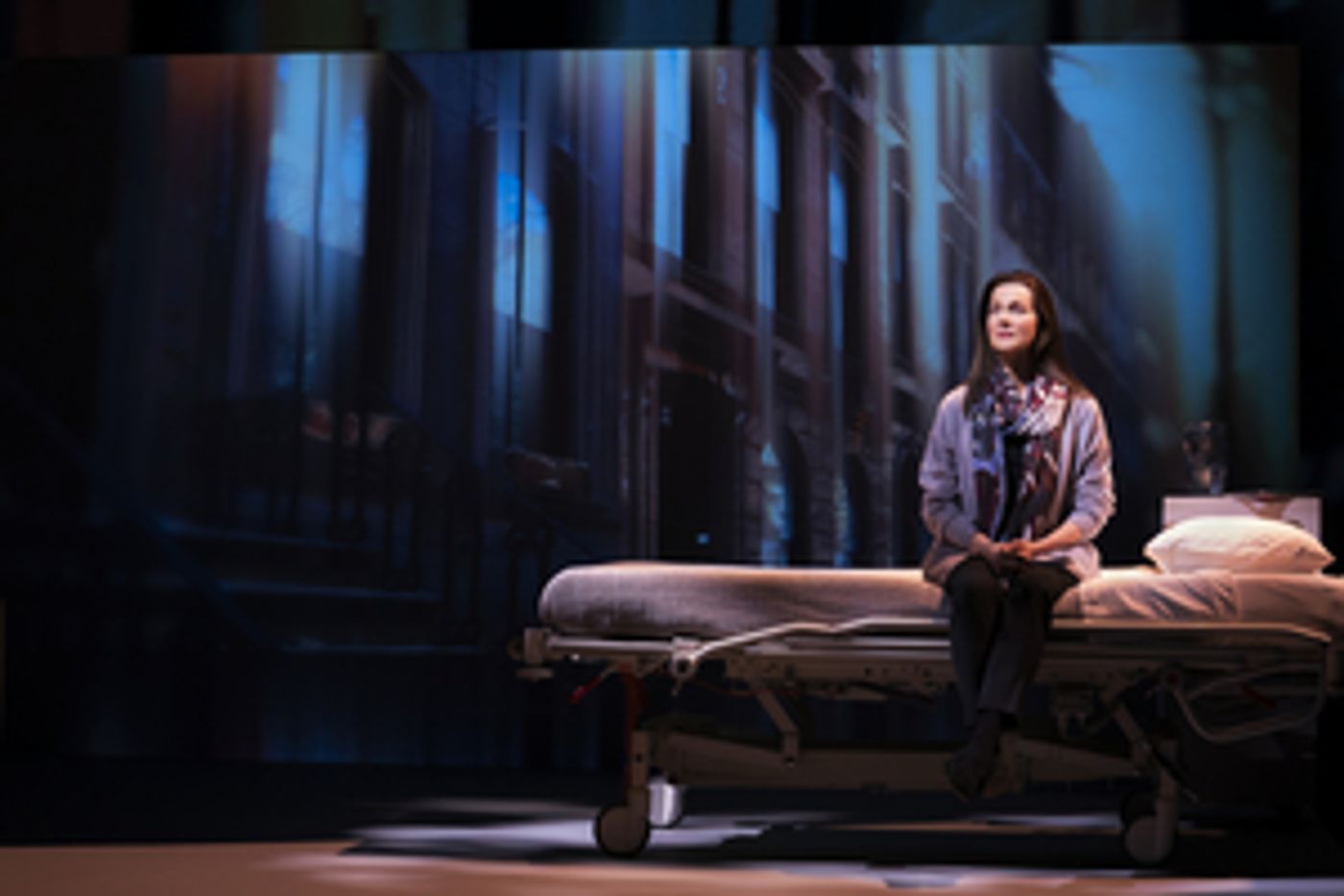 Review Roundup: MY NAME IS LUCY BARTON Starring Laura Linney Opens On Broadway Review Roundup: MY NAME IS LUCY BARTON Starring Laura Linney Opens On Broadway Image
