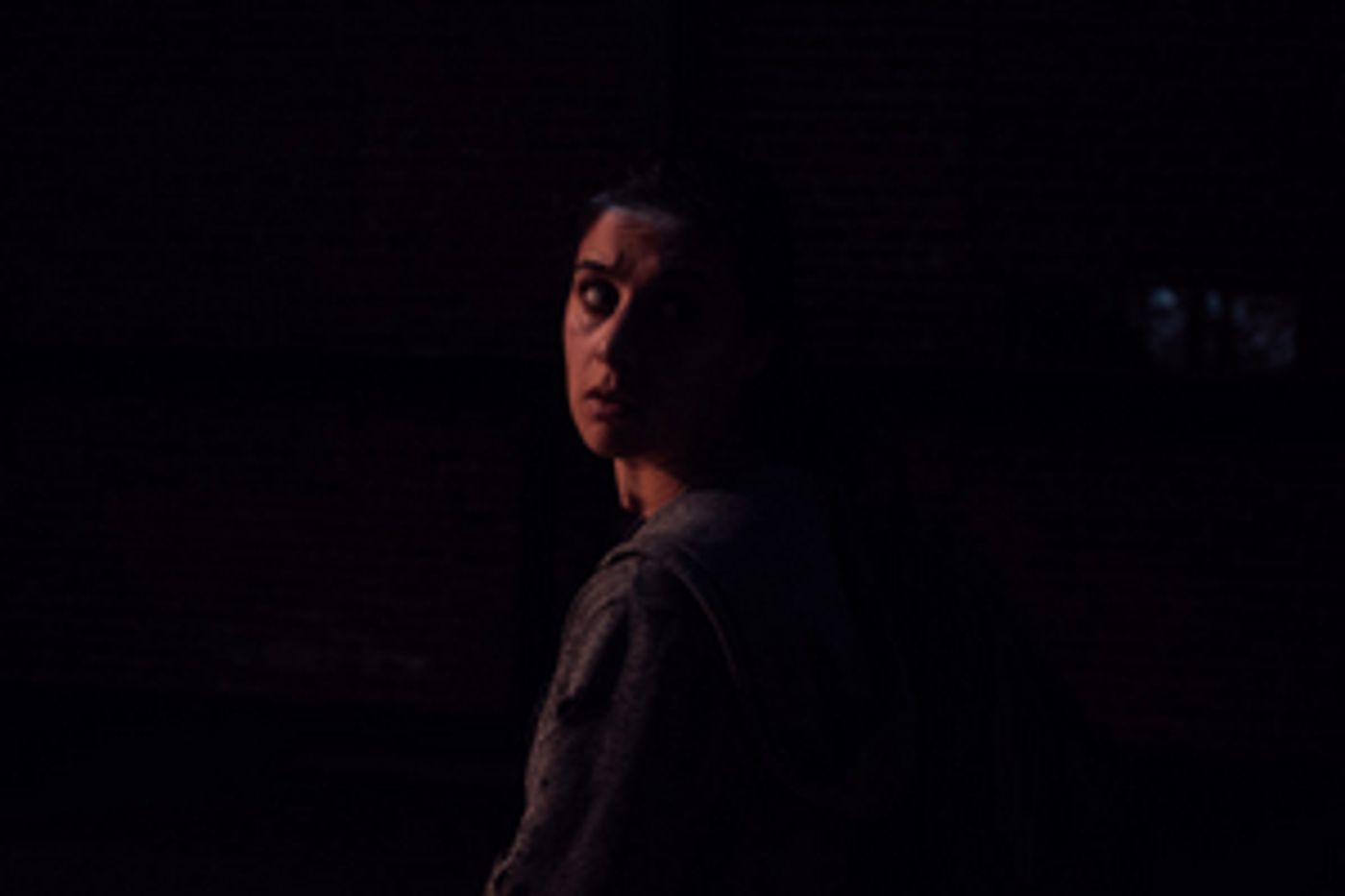 Review: THE NEW COLOSSUS Awakes Audiences to the Universal Needs and Desires of all Immigrants  Image