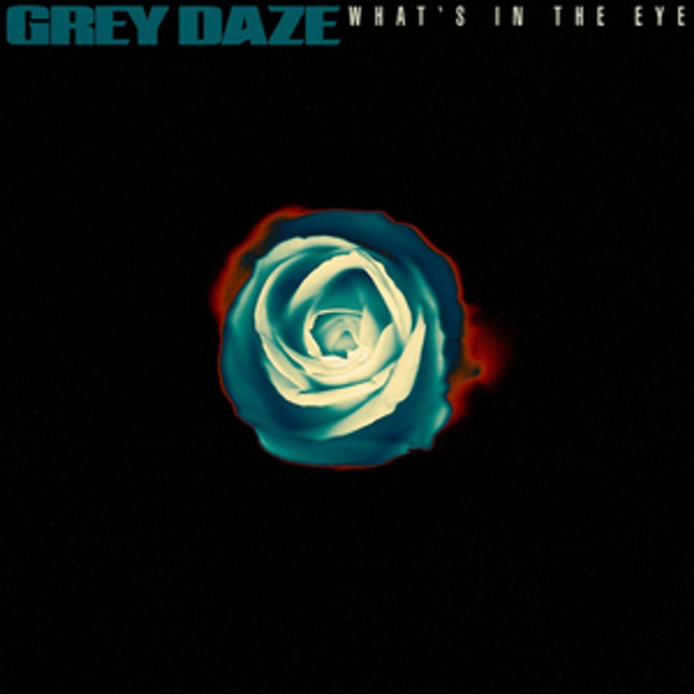 Grey Daze Release 'What's In The Eye'  Image