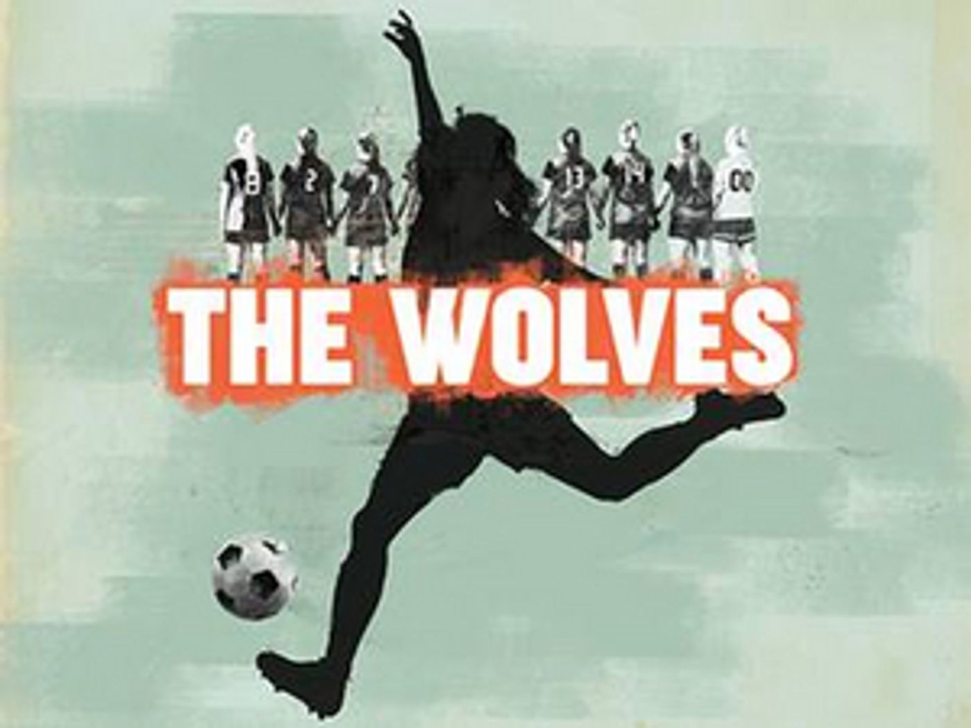 Syracuse Stage Presents THE WOLVES  Image