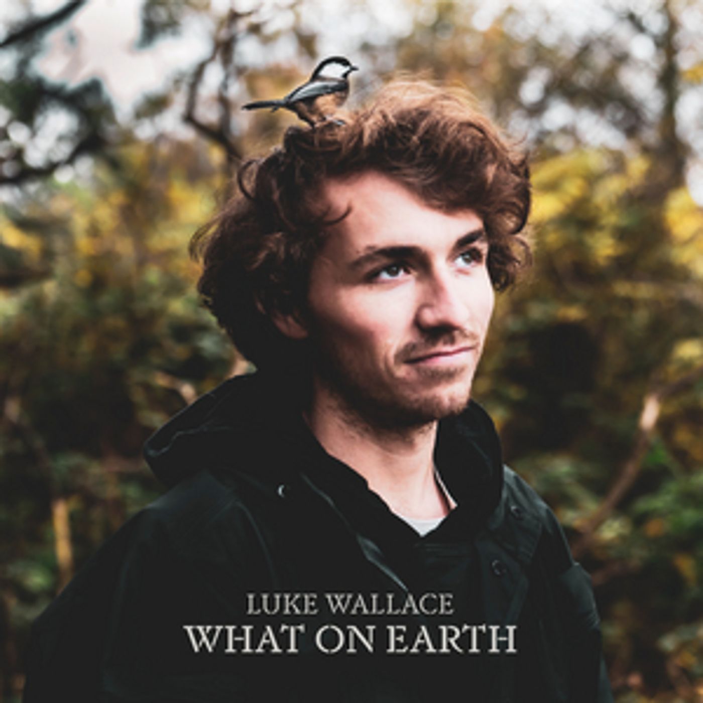 Luke Wallace Announces New Album 'What on Earth'  Image