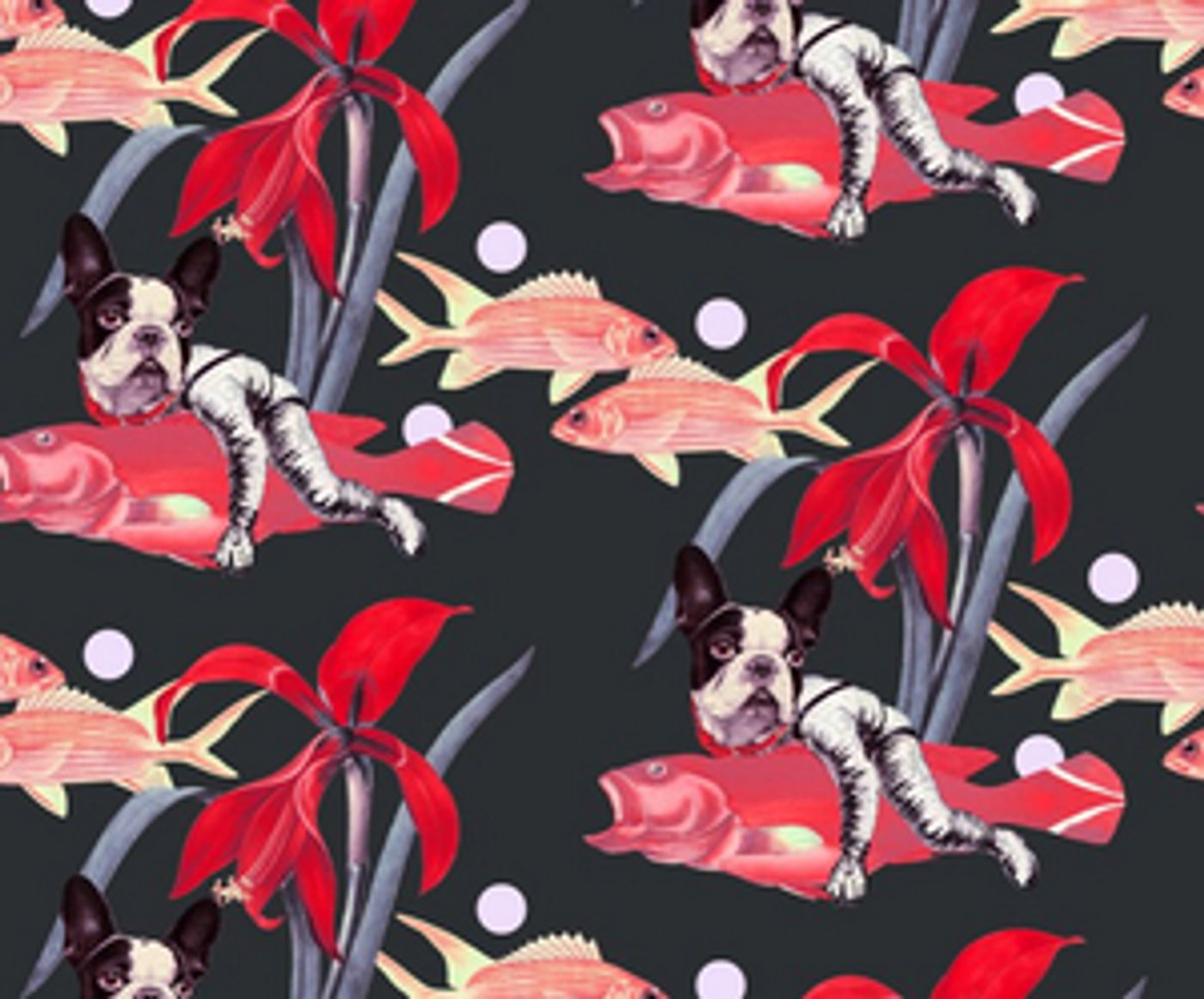 BABOON TO THE MOON Pop-up Event on Sunday, 1/26 in Nolita  Image