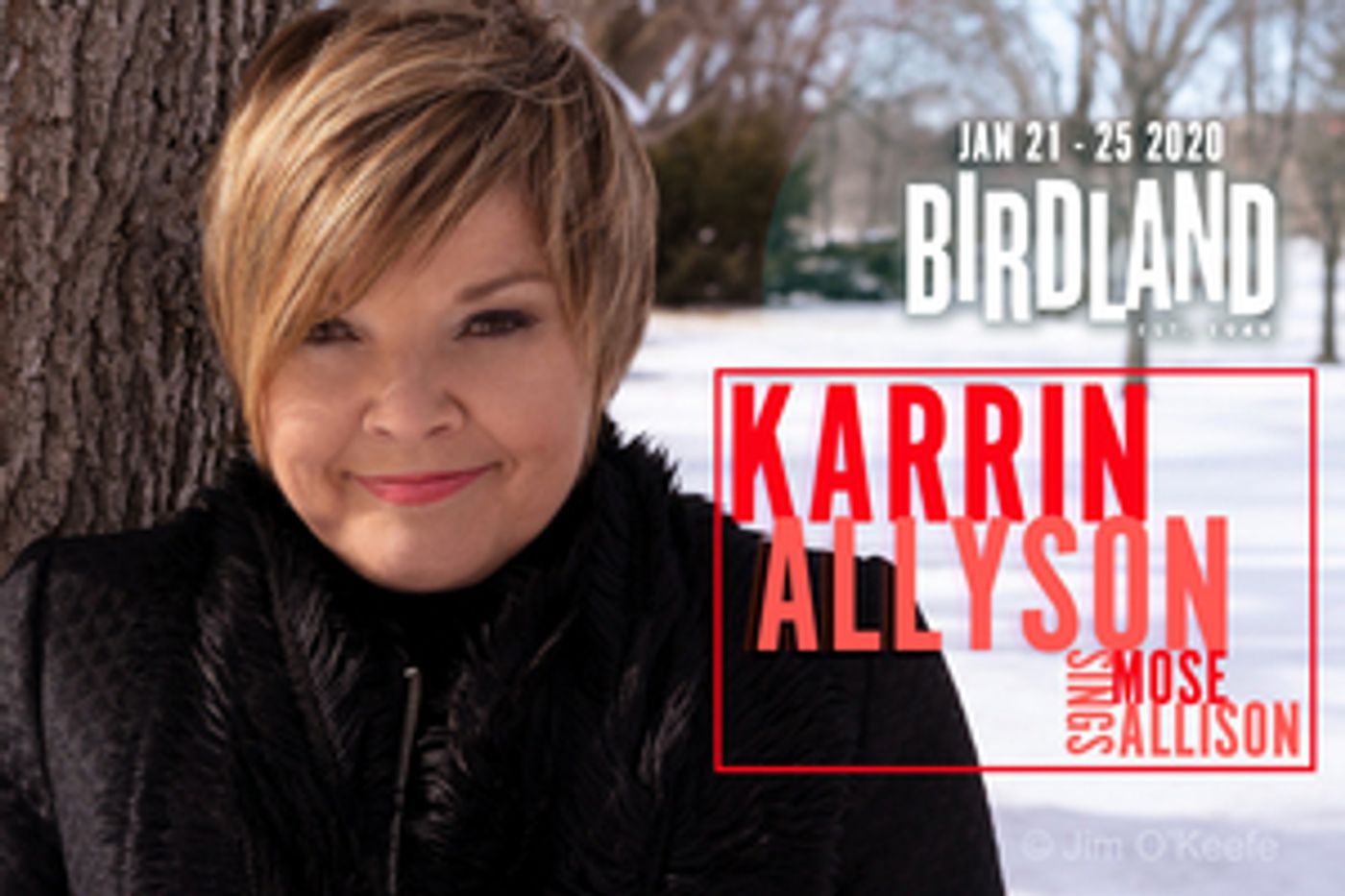 Review: KARRIN ALLYSON SINGS MOSE ALLISON ...and Soars at Birdland  Image