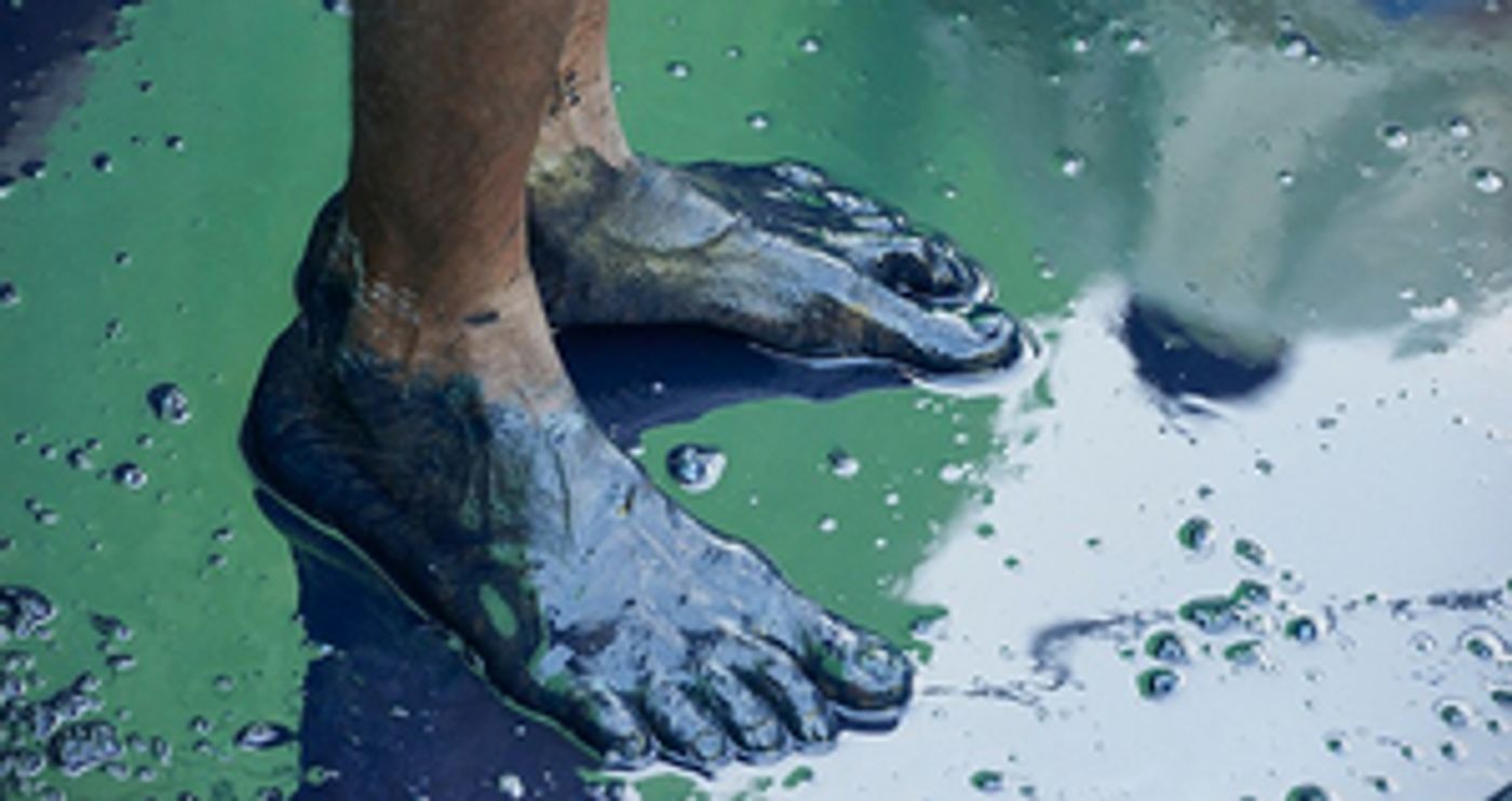 THE INDIGO PROJECT Comes to Toronto  Image