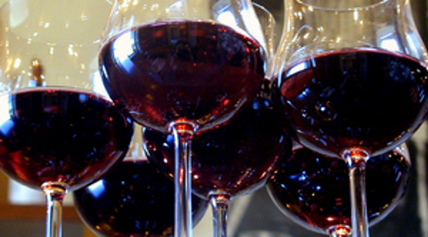 BAROLO & BARBARESCO World Opening Consumer Tasting Event BAROLO & BARBARESCO World Opening Consumer Tasting Event Image