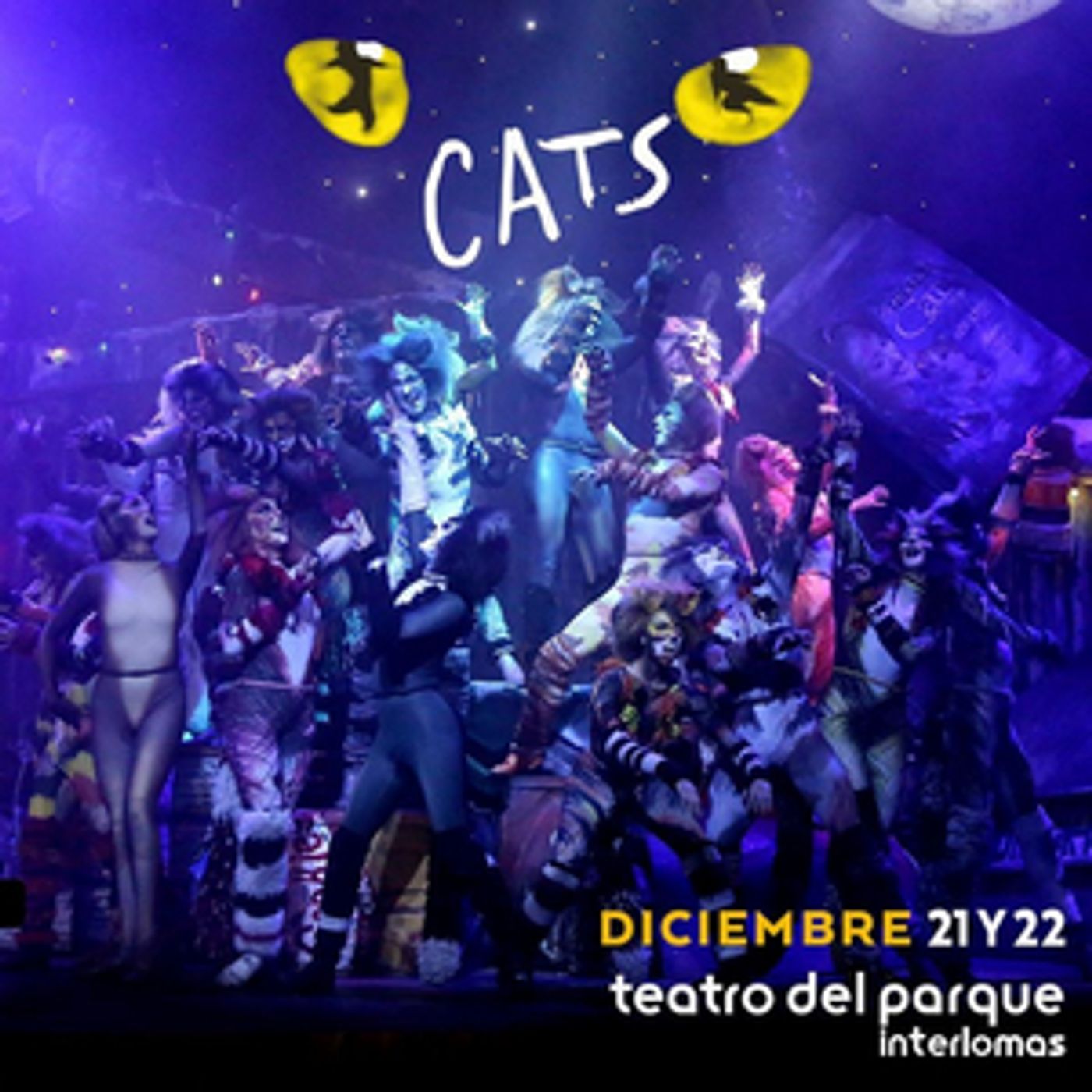 HIGHLIGHTS 2019 Q4: Natalia Sosa concluye su participación en CATS. HIGHLIGHTS 2019 Q4: Natalia Sosa concluye su participación en CATS. Image