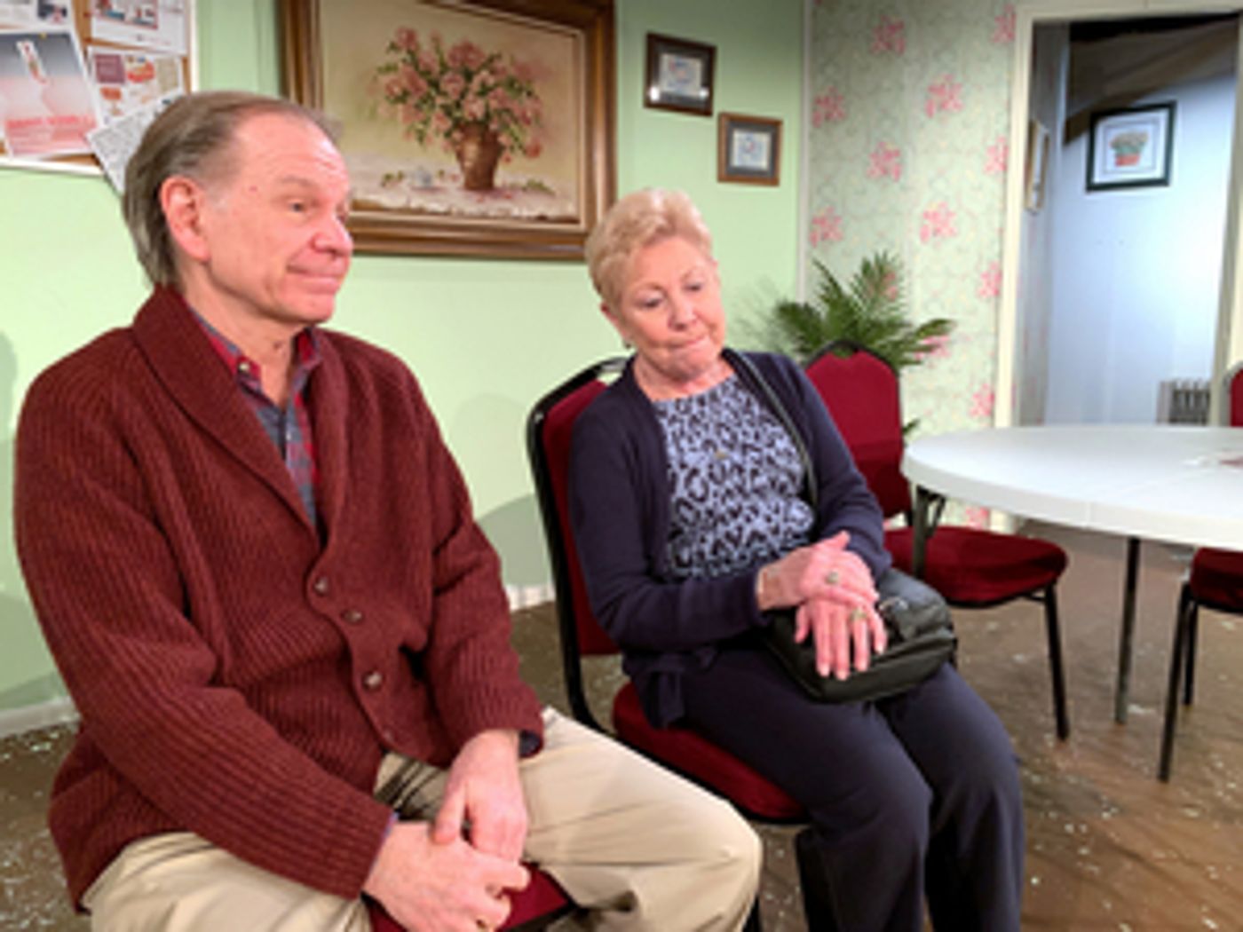 Review: HUCKLEBERRY TOWERS Addresses the Needs of Seniors to Live Out Their Lives with Friends and Happy Memories  Image