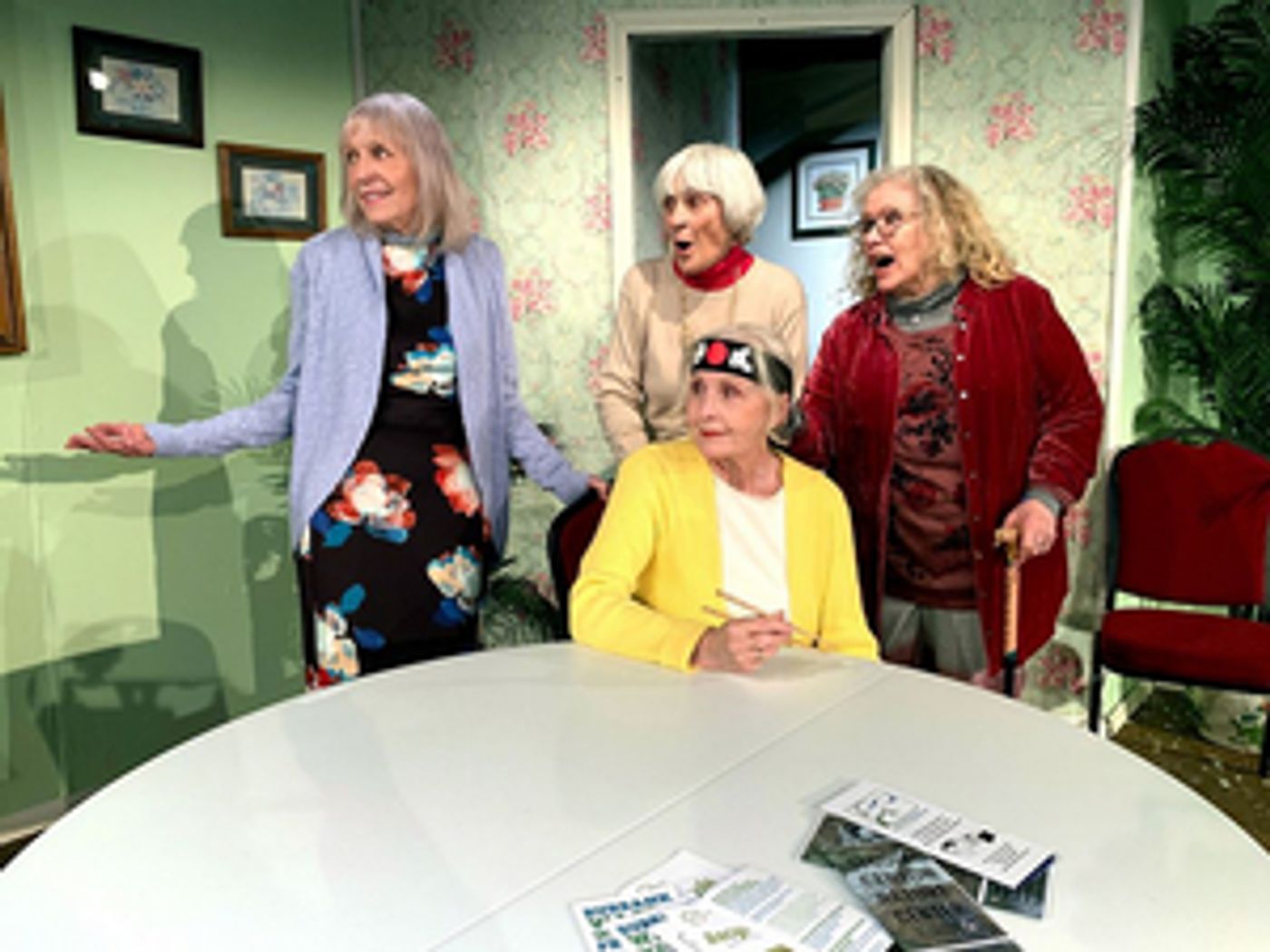 Review: HUCKLEBERRY TOWERS Addresses the Needs of Seniors to Live Out Their Lives with Friends and Happy Memories  Image