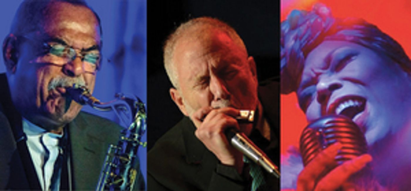 Corky Siegel's Chamber Blues Will Return to Raue Center  Image