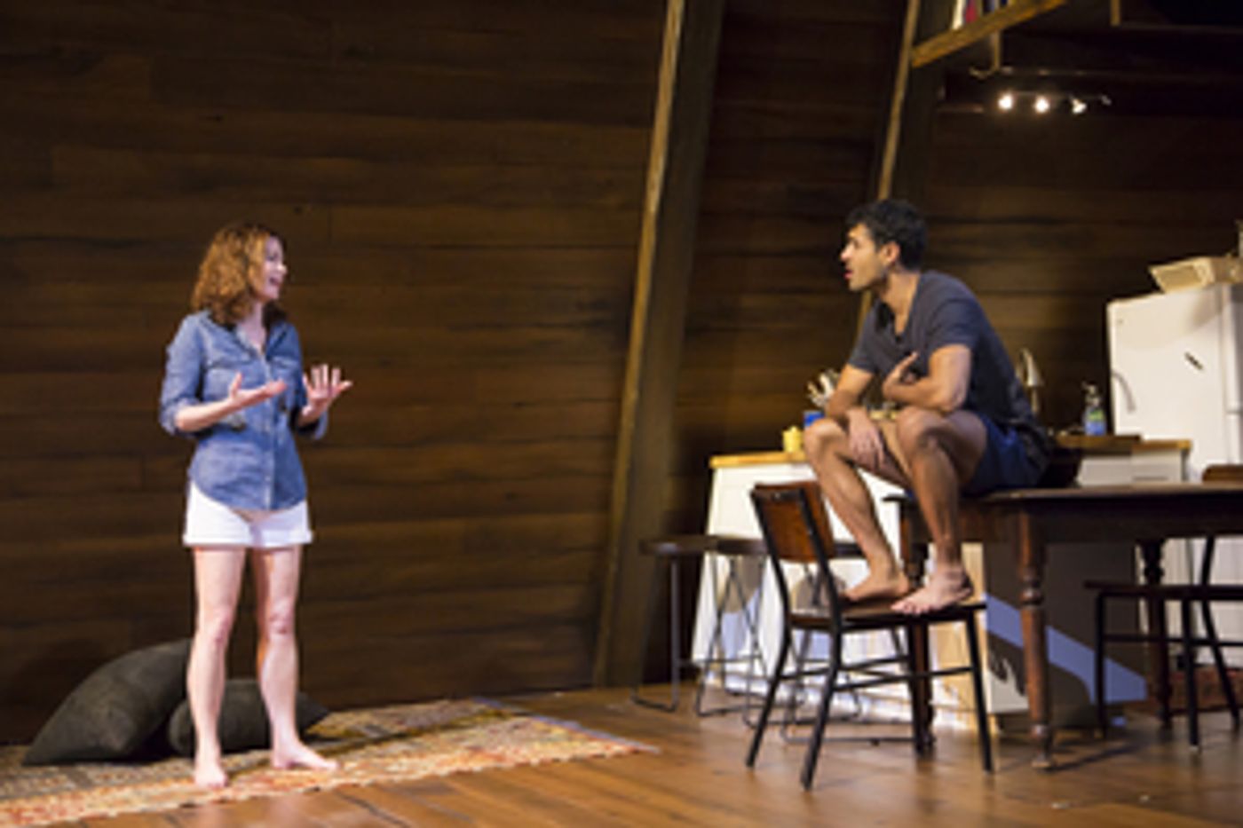 Review: GOODNIGHT NOBODY at McCarter Theatre-A New Play Featuring Dana Delany Review: GOODNIGHT NOBODY at McCarter Theatre-A New Play Featuring Dana Delany Image