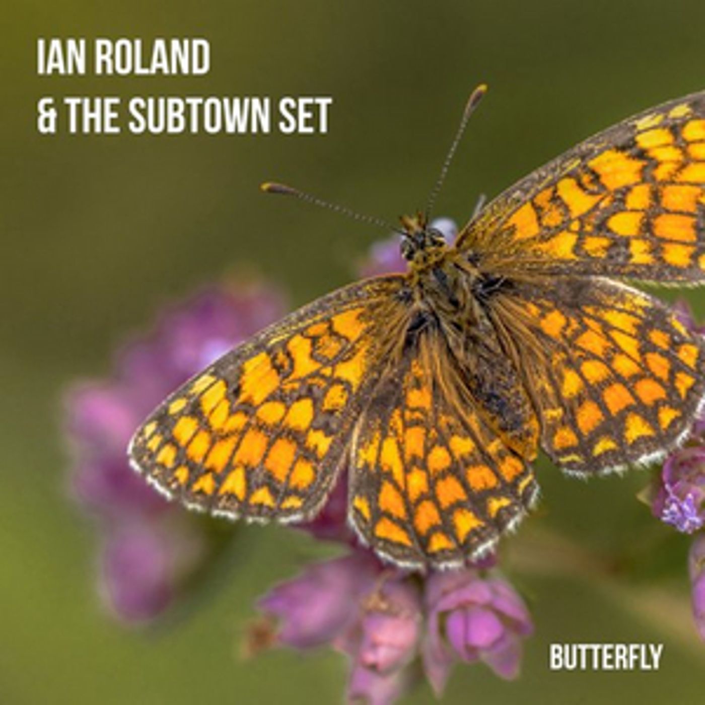 Ian Rowland and the Subtown Set Drop New Single 'Butterfly'  Image