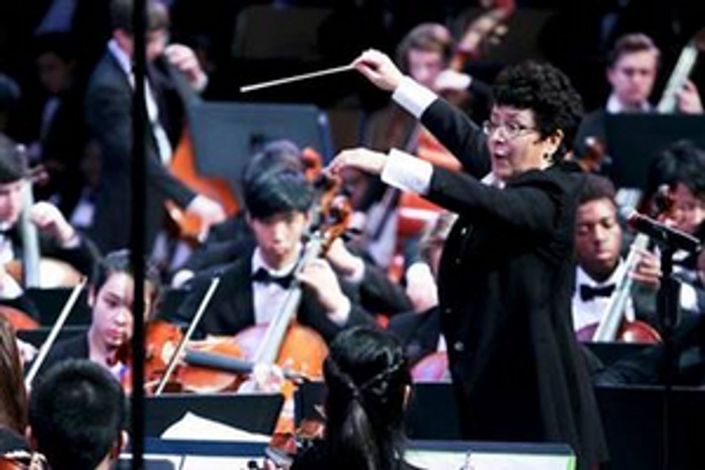 The Philadelphia Young Artists Orchestra Will Continue Their Season With a Concert Conducted by Maestra Rosalind Erwin  Image