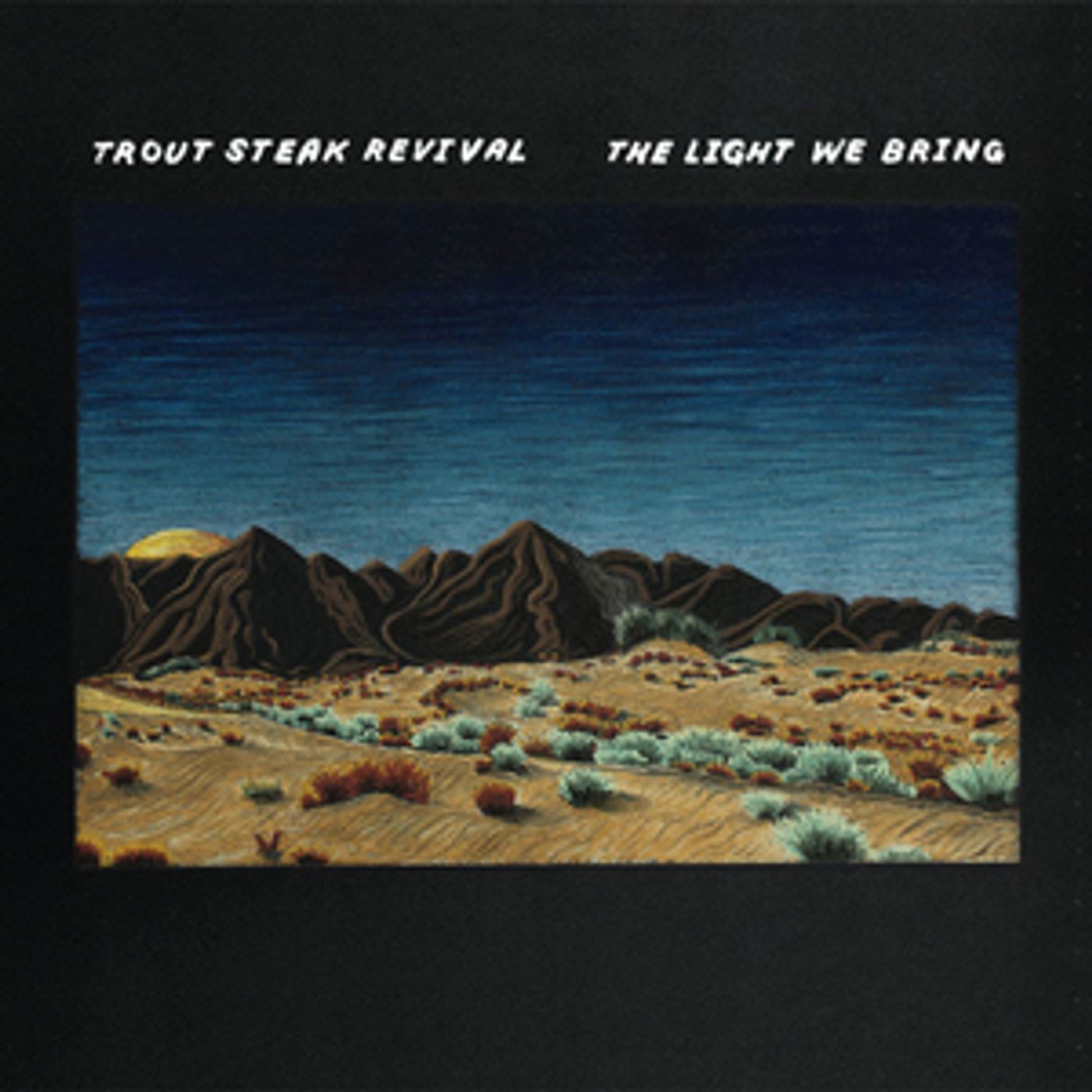 Trout Steak Revival Release Fifth Album THE LIGHT WE BRING  Image