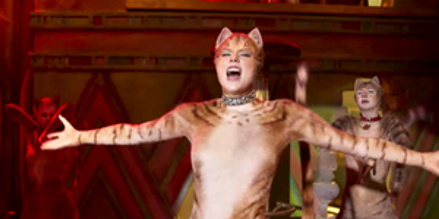 Guest Blog: Jellicle Fans Come Out At Midnight - The Rise of Rowdy Cats  Image