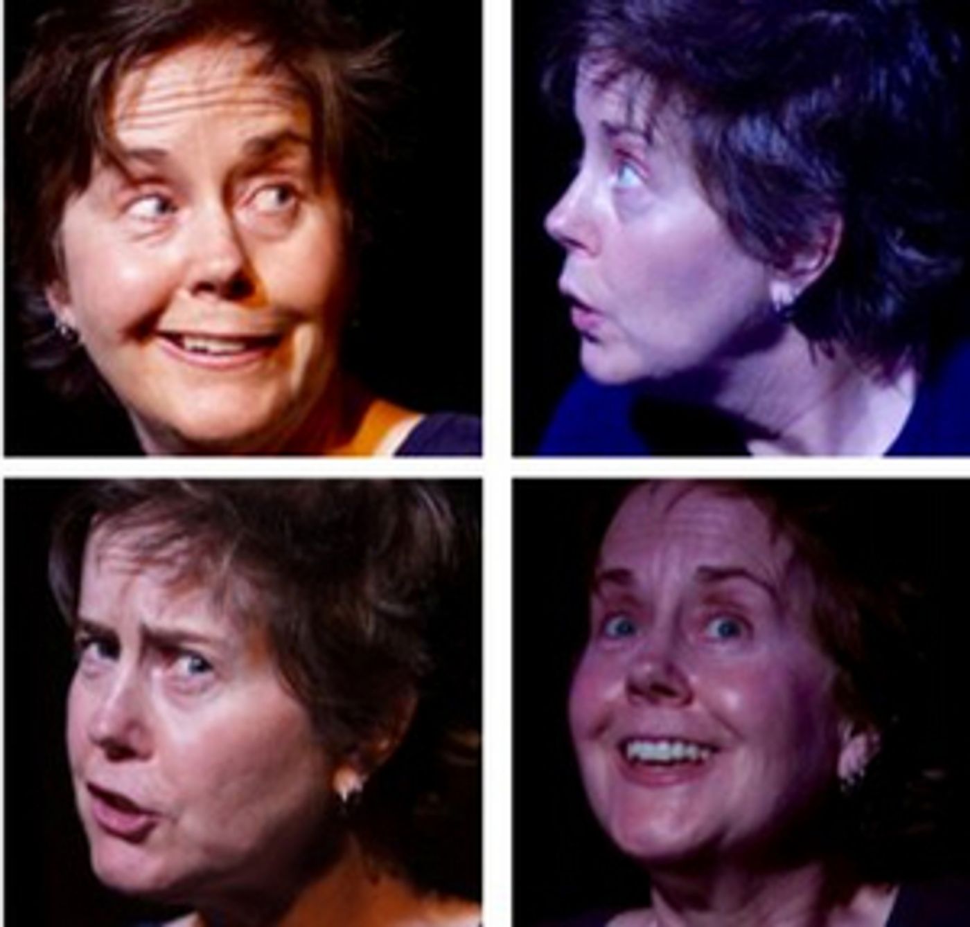 Lyralen Kaye Will Present MY PREFERRED PRONOUN IS WE at the Marblehead Little Theatre in March Lyralen Kaye Will Present MY PREFERRED PRONOUN IS WE at the Marblehead Little Theatre in March Image