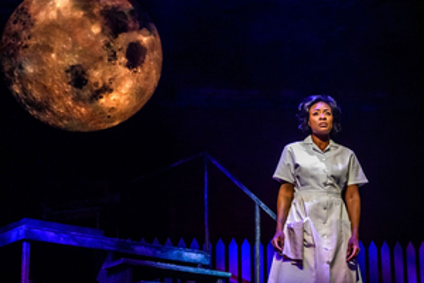 Review: CAROLINE, OR CHANGE at the Winter Garden Theatre  Image