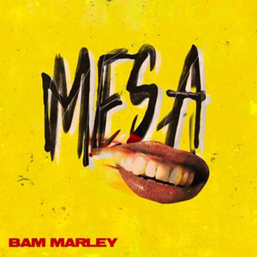 Bam Marley Releases Debut Project M.E.S.A. PART 1 Image