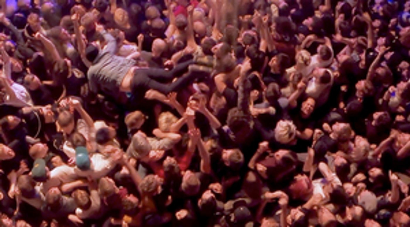 PUP Share Video for 'Morbid Stuff' PUP Share Video for 'Morbid Stuff' Image