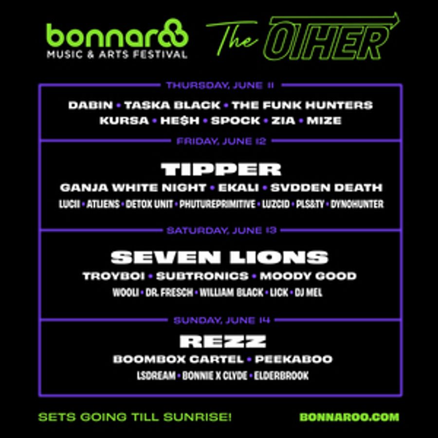Bonnaroo Unveils Lineup for 'The Other' Stage Image