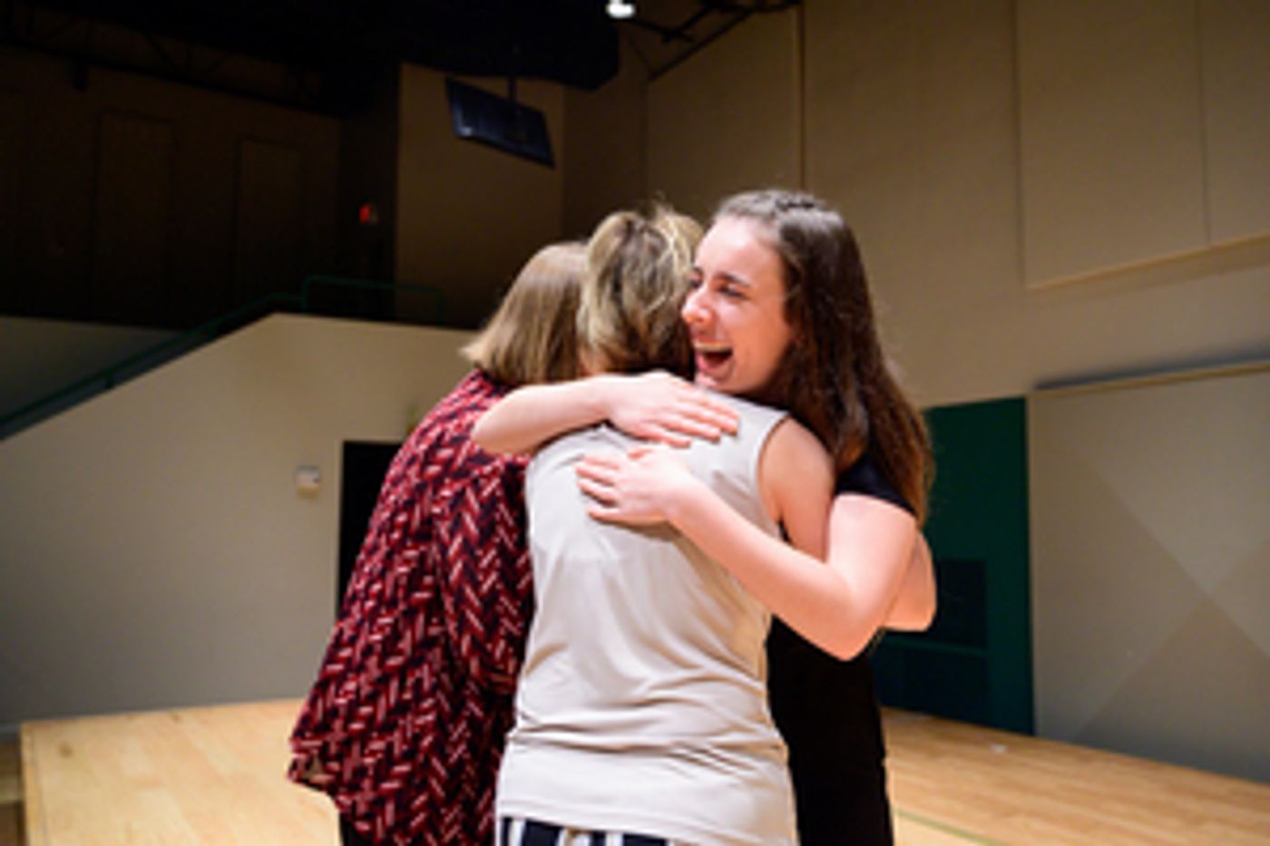 Youth Orchestra Students to Perform THRILL OF A LIFETIME Concert with Sarasota Orchestra  Image