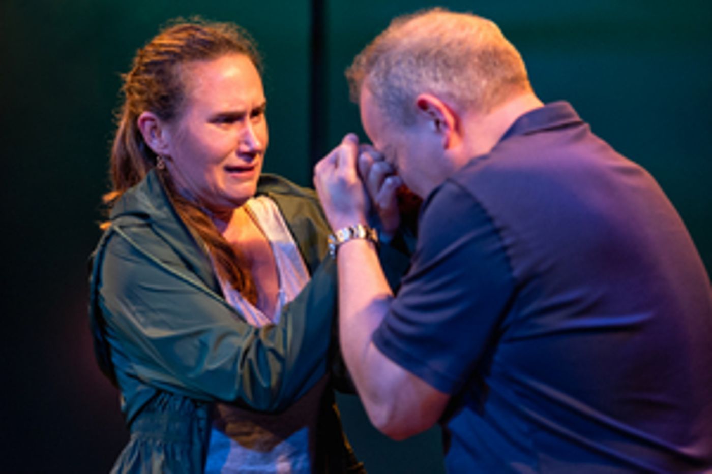 Review: A PEREGRINE FALLS at The Wild Project  Image