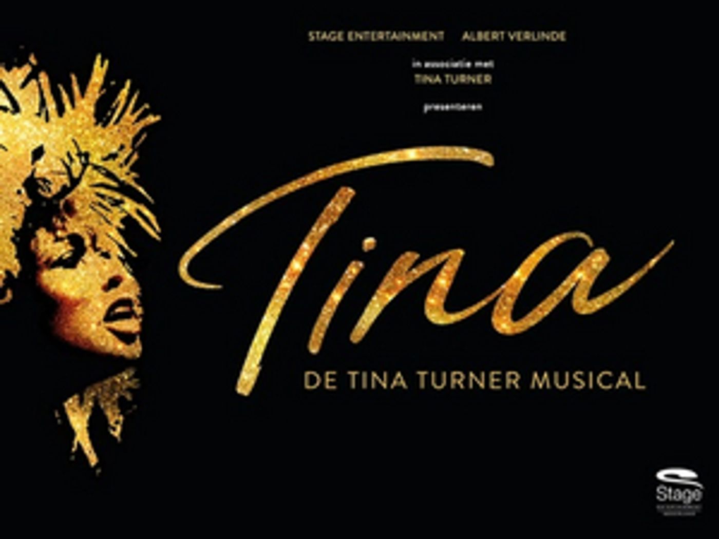 Review: TINA - DE TINA TURNER MUSICAL at Beatrix Theater Utrecht: Simply the Best!⭐️⭐️⭐️⭐️  Image