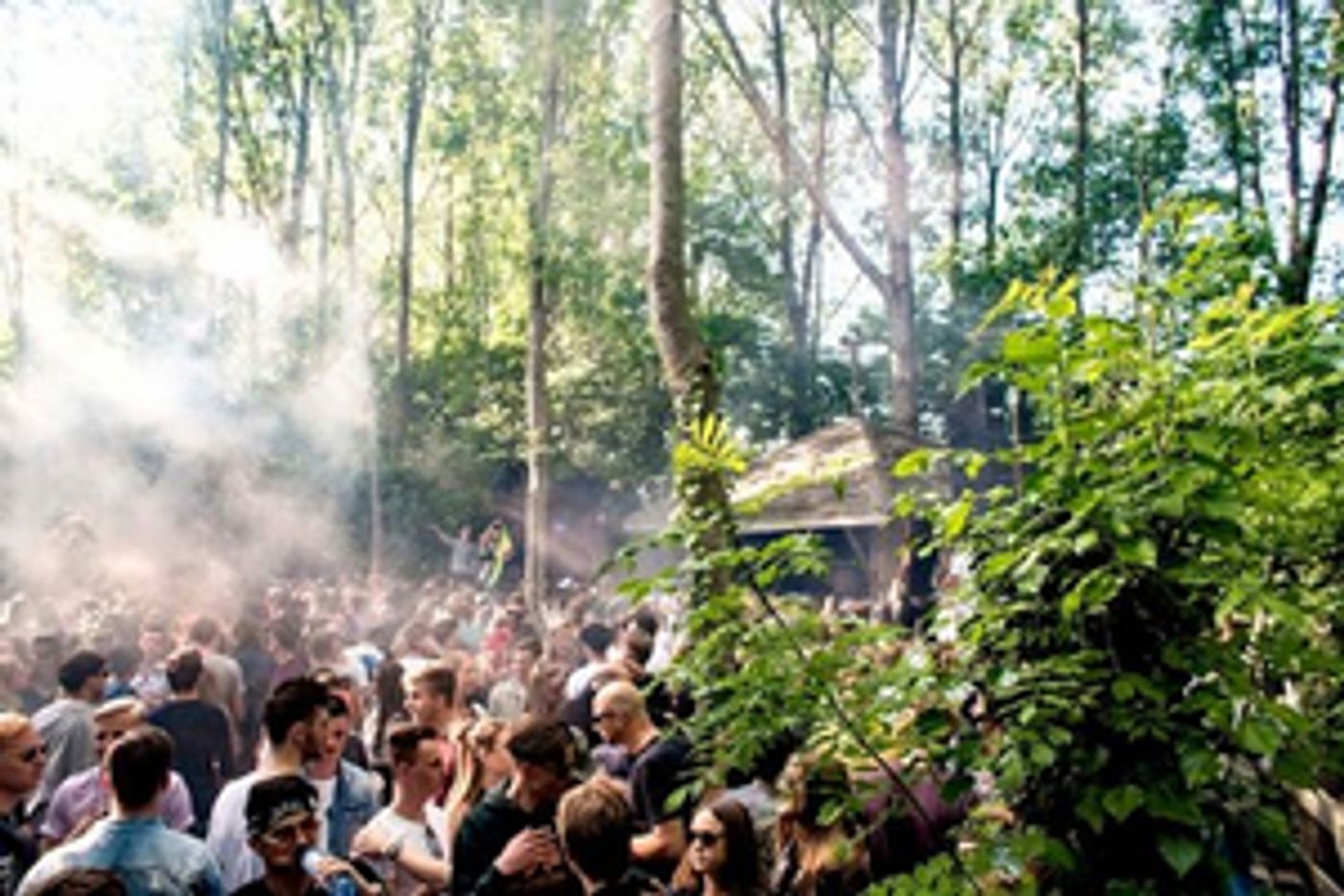 Forest Festival Planet Paradigm Announces Full Line-Up For 2020 Forest Festival Planet Paradigm Announces Full Line-Up For 2020 Image