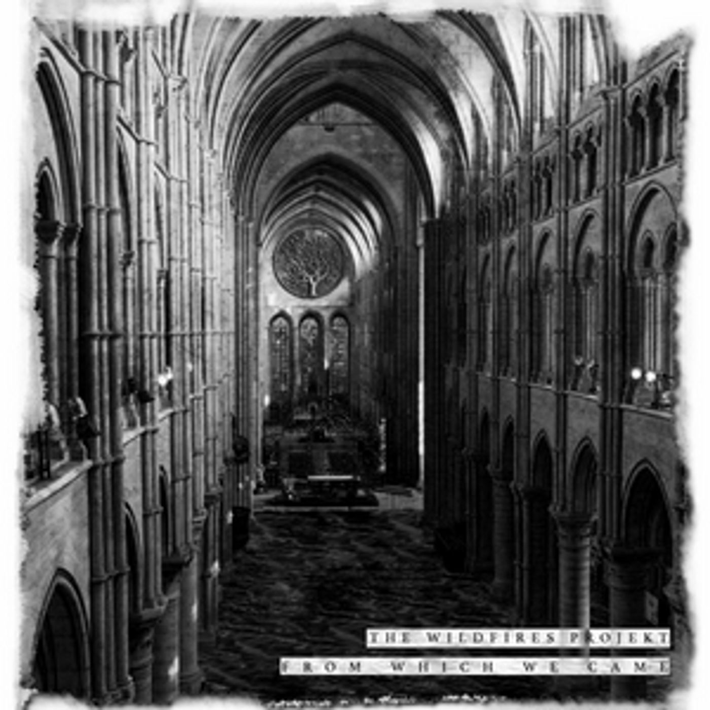 The Wildfires Projekt Announces New EP The Wildfires Projekt Announces New EP Image